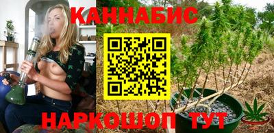 наркотики Новозыбков