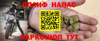 наркотики Новозыбков