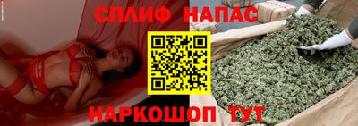 наркотики Новозыбков
